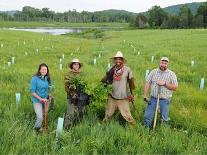 Group of people standing in a green marshy area and smiling after elm planting day.