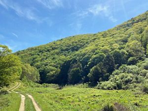 A worn dirt track bends its way through a green open field bordered by a tall mountain ridge.