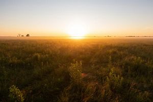 Sunset over the prairie at Kankakee Sands.
