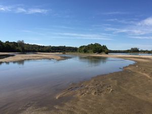 A shallow, meandering river with sandy banks and sandbars.
