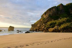 A sandy beach with a mountain in the background.