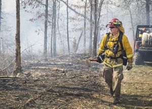 A fire management crew member walks through smoke with a watchful eye on the burn line with tool in hand.