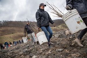 Volunteers carry buckets of tree saplings up a rocky hill on a mountain.
