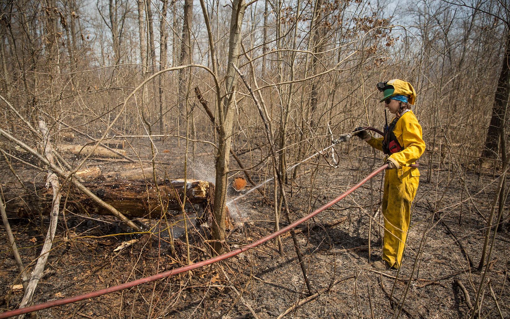 Fire Management  A fire crew member sprays a hot area with water after the prescribed burn.  © Mike Wilkinson