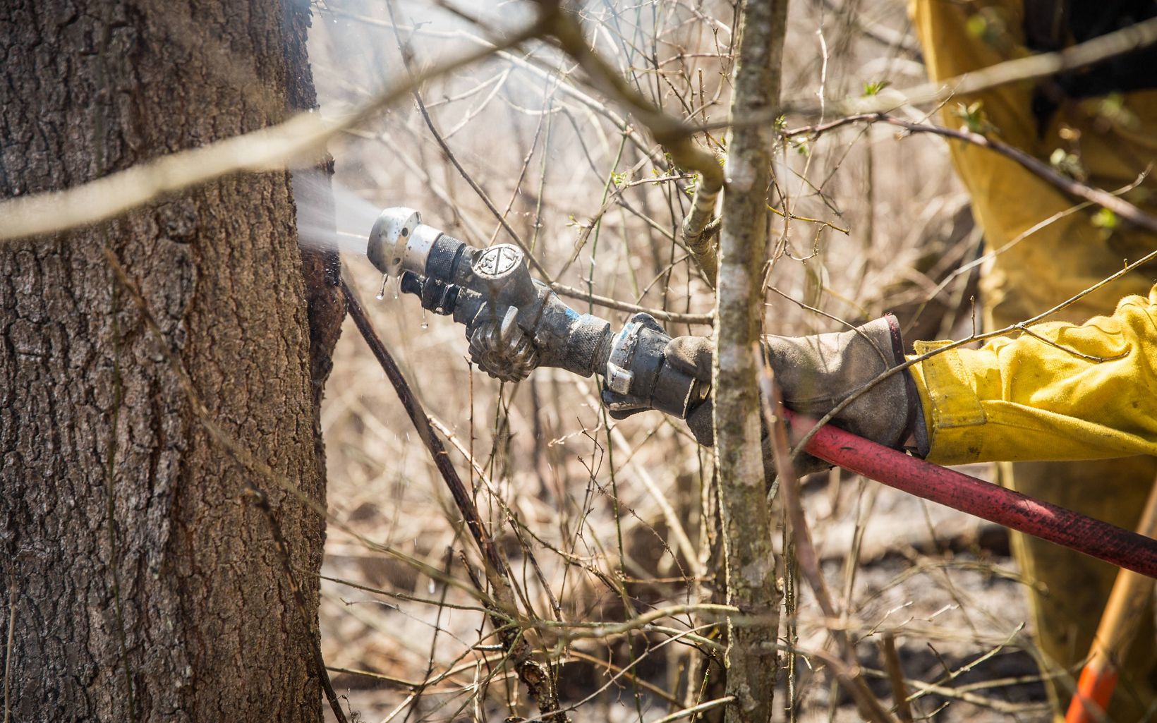 Kentucky Fire Management  A fire crew member sprays a hot area with water after the prescribed burn.  © Mike Wilkinson