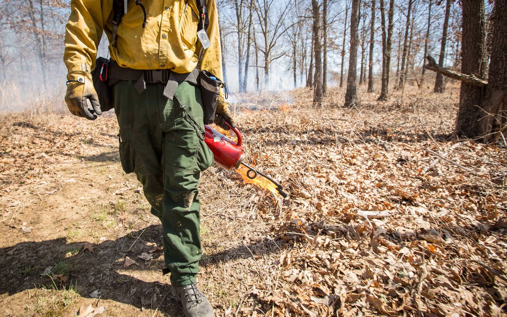 Kentucky Fire Management  A member of the fire crew walks the fire line with a drip torch.  © Mike Wilkinson