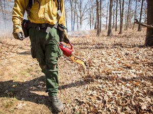A person dressed in fire-protective clothing carries a drip torch and lights dry brush in a forest.