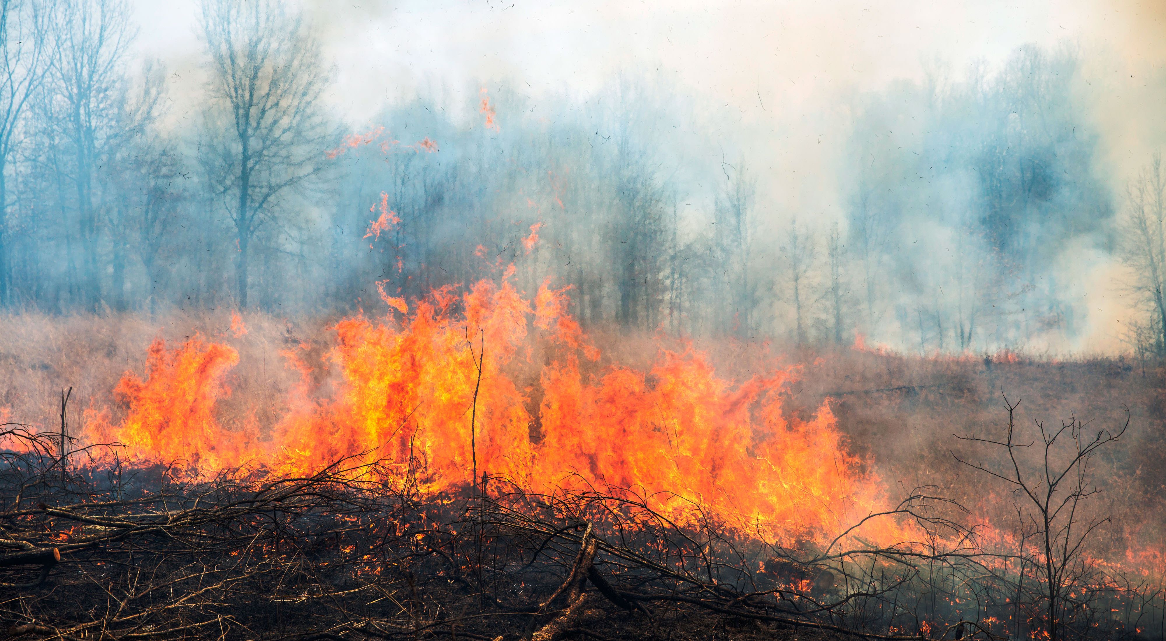 A controlled burn on a grassy area.