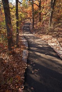 Hiking trail through trees.