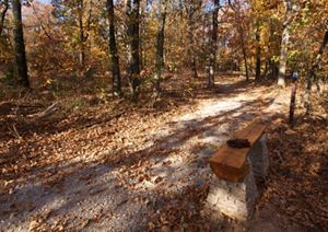 Hiking trail next to a bench.