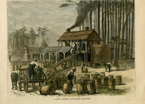 Historic illustration from Harper's Weekly of a North Carolina turpentine distillery.