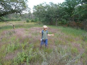 Kids walk through tall grass at Helen Allison Savanna SNA.