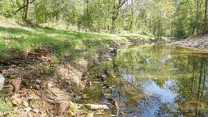 Small creek with a newly restored streambank.