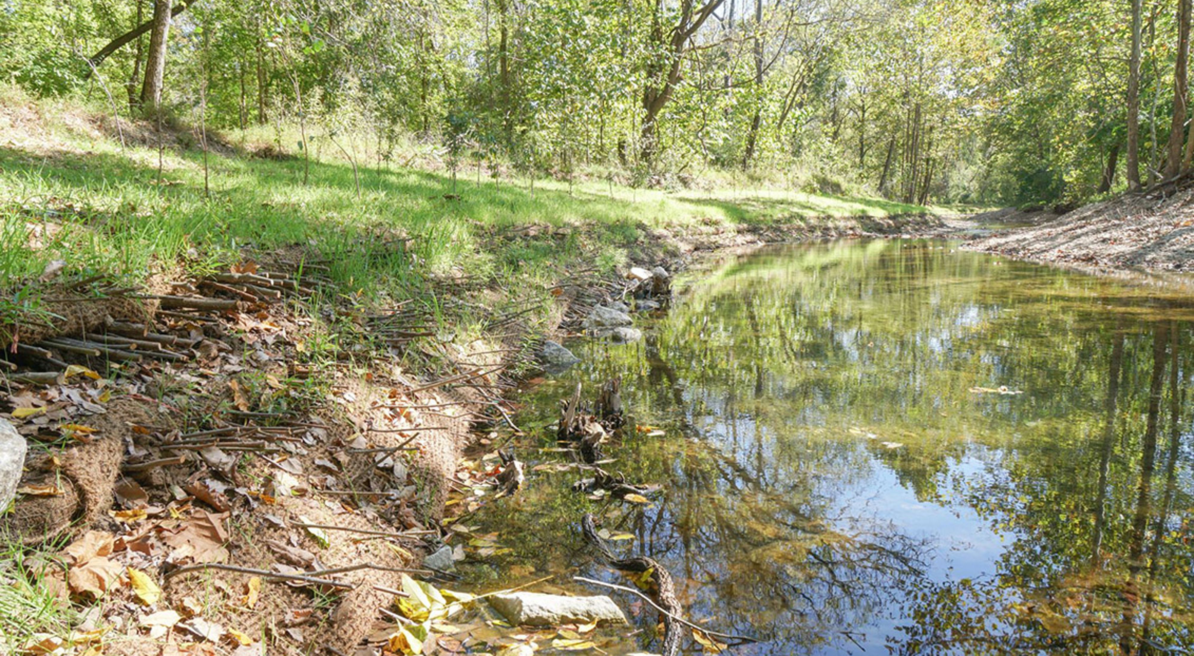Small creek with a newly constructed restored streambank.