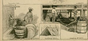 Historic illustration from Harper's Weekly showing the living conditions of enslaved workers. 