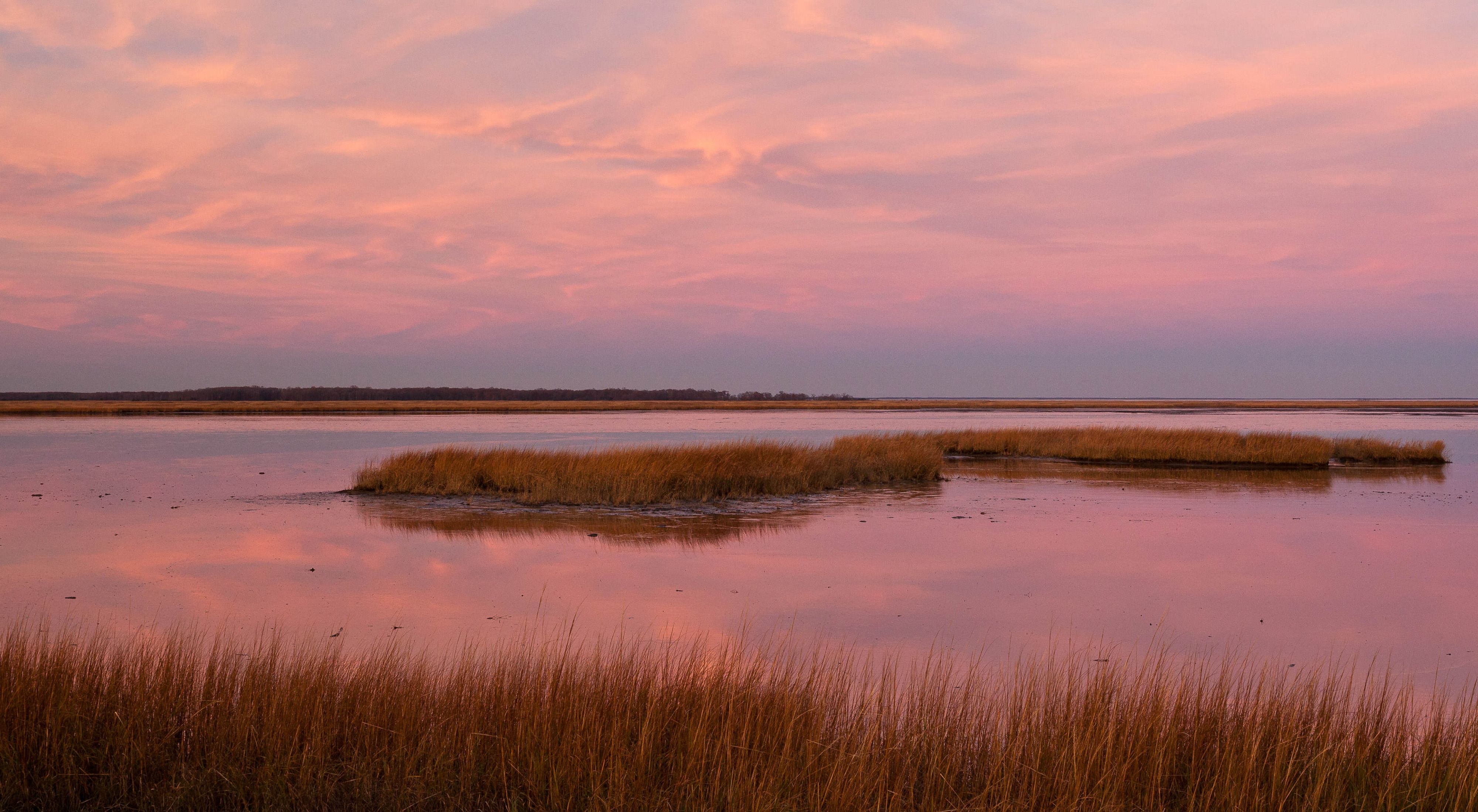 The rising sun bathes a coastal wetland in Maryland in soft pink light. Small islands of marsh grass dot the open water.