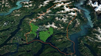 M̓ac̓inuxʷ Special Forest Management Area