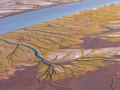 Aerial of Colorado River Delta