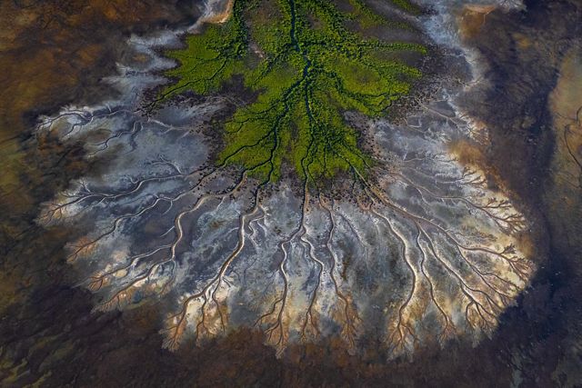 Lush green mangroves line the mud flats accentuated by the tidal waters and months of rain filling the artesian basin. Gulf of Carpentaria in tropical north Queensland.