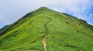 A dirt trail of steps leads up a large green hill.
