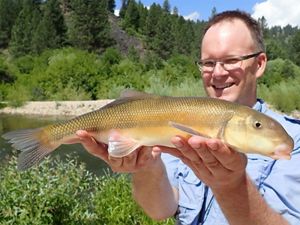 Man wearing glasses and smiling holds up a large, pale-colored fish with a river in the background.