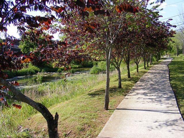 Lewisburg Greenway Tree Path