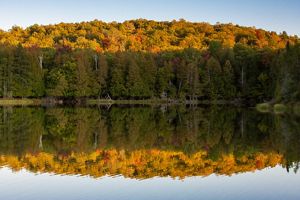A forest in the fall with a lake in the foreground.