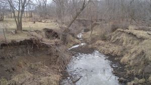Severely eroded streambank with trees and brush falling into a small creek.