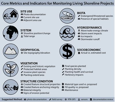 Graphic showing metrics to use for monitoring living shoreline projects.