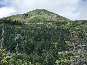 Aerial view of a sky-blue river running through forest.