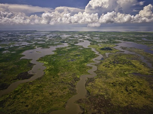 Aerial view of wetlands and marshlands that comprise the Mississippi River delta on the Louisiana Gulf Coast