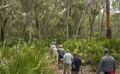 A group of Legacy Club members hike along a trail on Little St. Simons Island, Georgia