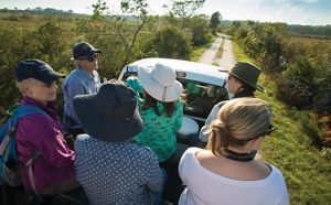 A group of six people wearing hats and sunglasses sit in an open-air truck bed, driving down a single-lane dirt road that’s surrounded by grasses and shrubs.