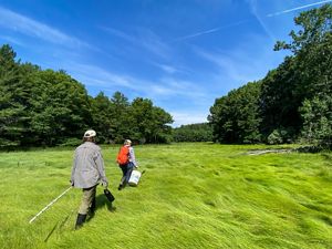 Two people walking through a saltmash carrying tools.