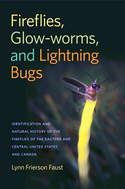 TNC supporter and firefly expert, Lynn Faust, wrote a book about these unique beetles.