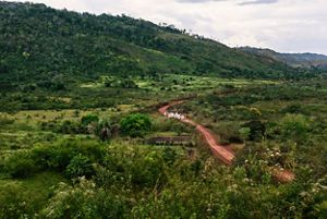 TNC y sus socios están ayudando a los propietarios de tierras a reducir la deforestación mediante prácticas que hacen más productivo el uso de la tierra, como el pastoreo rota