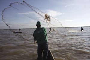 Un kayakista rema por encima de las gorgonias en Belice.