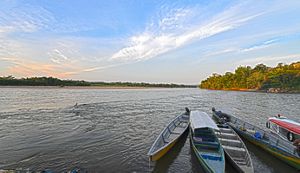 Botes en un río de la Amazonía Andina. 