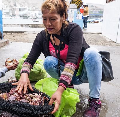 mujer arrodillada en el puerto con una bolsa de pesca de cangrejos