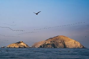 La corriente de Humboldt circula por la costa de Chile, Perú y Ecuador. 