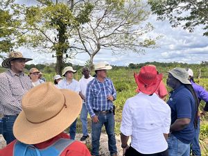 Un grupo de personas que llevaban sombreros conversaban al aire libre.