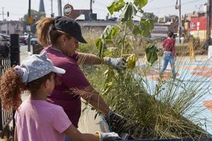 Two people tend to plants in an urban native garden. 