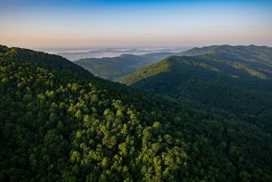 Aerial photograph of the Cumberland Gap in Kentucky. May 2019. The Cumberland Forest Project protects 253,000 acres of Appalachian forest and is one of TNC’s largest-ever conservation efforts in the eastern United States.