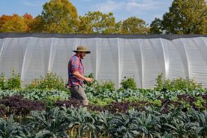 Person walking through a farm. 