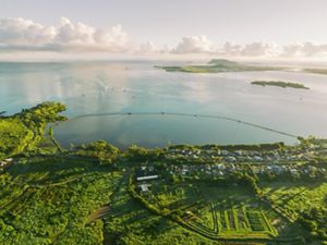Wetlands carpeted in green, with small streams and a dirt road in the foreground, the poi mill and another building on the right, and the highway and edge of fishpond in the distance.