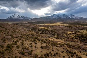 Aerial view of a rolling valley with trees and open meadows framed by ridges of snowy mountains in the background.