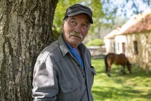 a man in a baseball cap leans on a tree while a horse grazes in the background