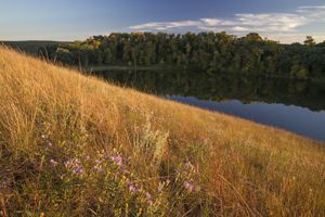 View of a prairie landscape with trees and a lake in the background.