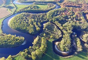 An aerial view of a river winding through a forested landscape.