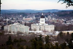 A view of the Maine statehouse from a surrounding hill.